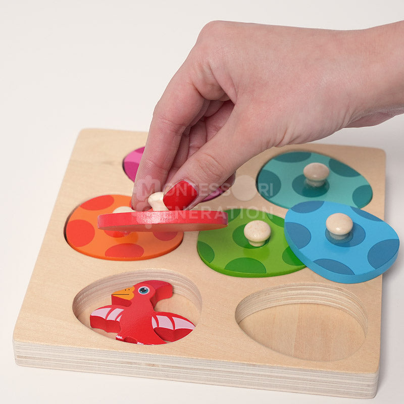 Montessori Dino Hatch and Match