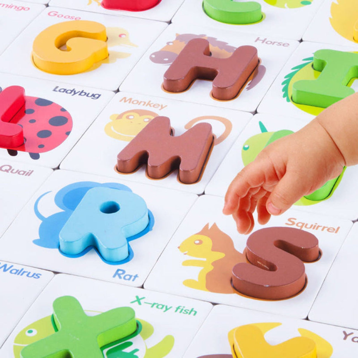 Montessori Alphabet Cards