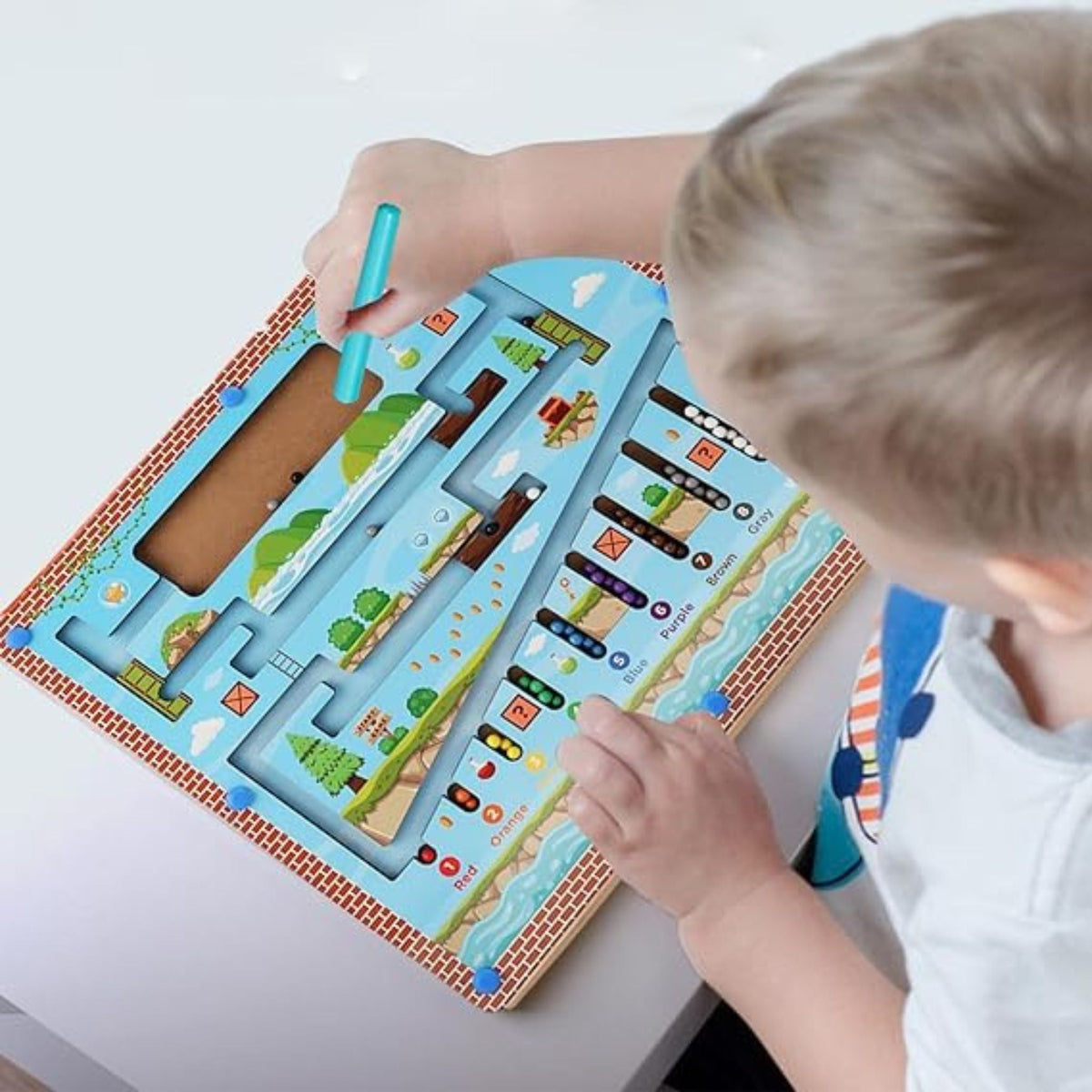 Montessori Color Sorting Maze
